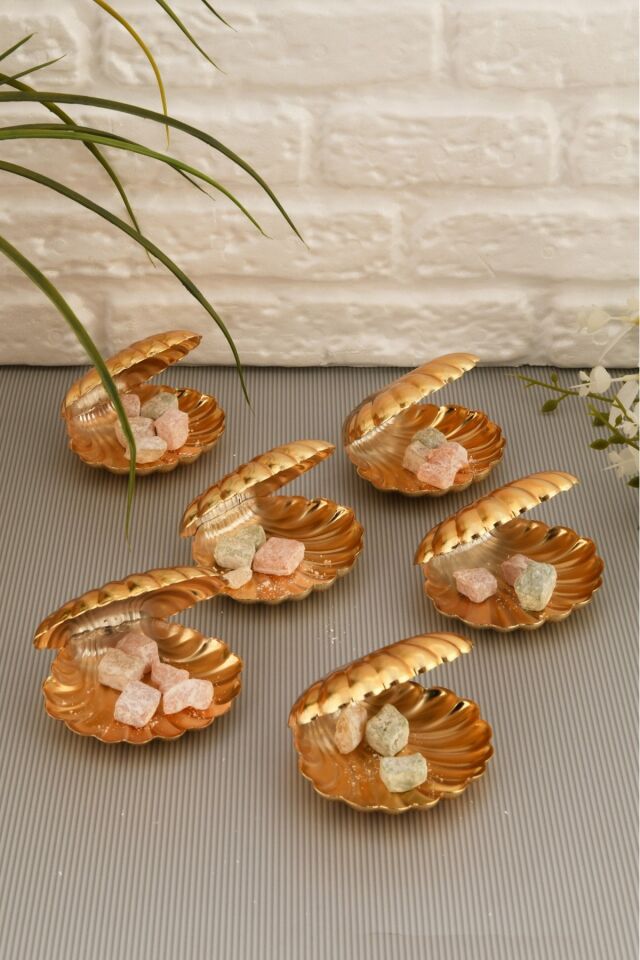 Brano 6 Lı Kahve Yanı Istiridye Lokumluk Gold