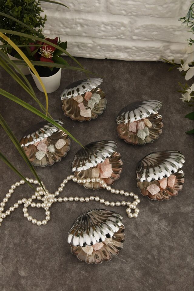 Brano 6 Lı Kahve Yanı Istiridye Lokumluk